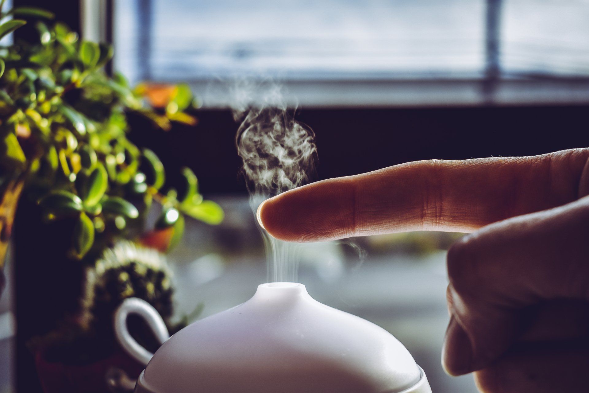 Finger touching steam above a white teapot near a sunlit window and potted plant