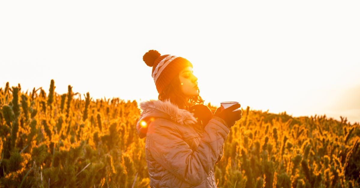 A woman is taking a picture of a field of christmas trees at sunset.