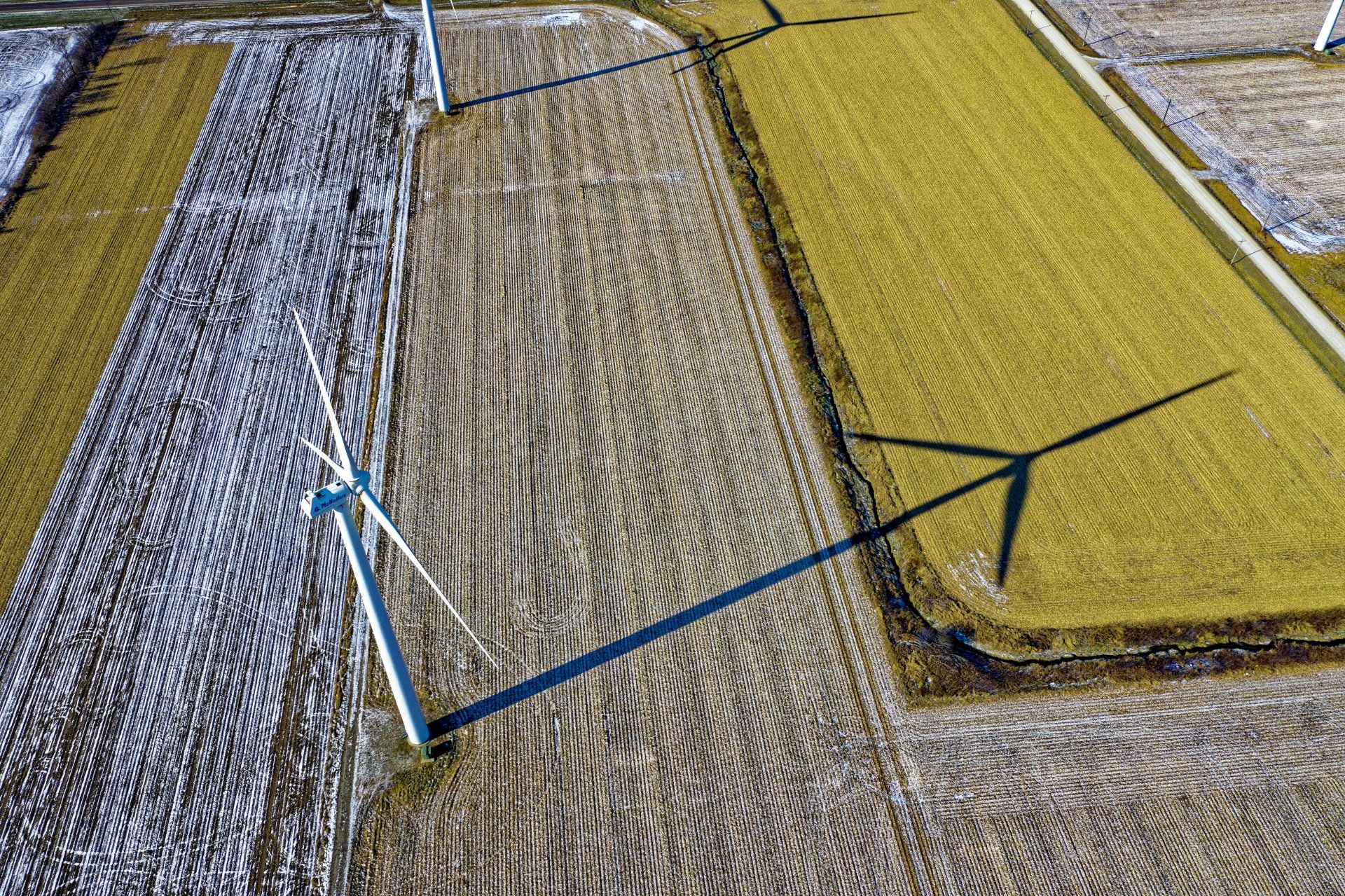 Wind turbines casting long shadows over colorful agricultural fields.