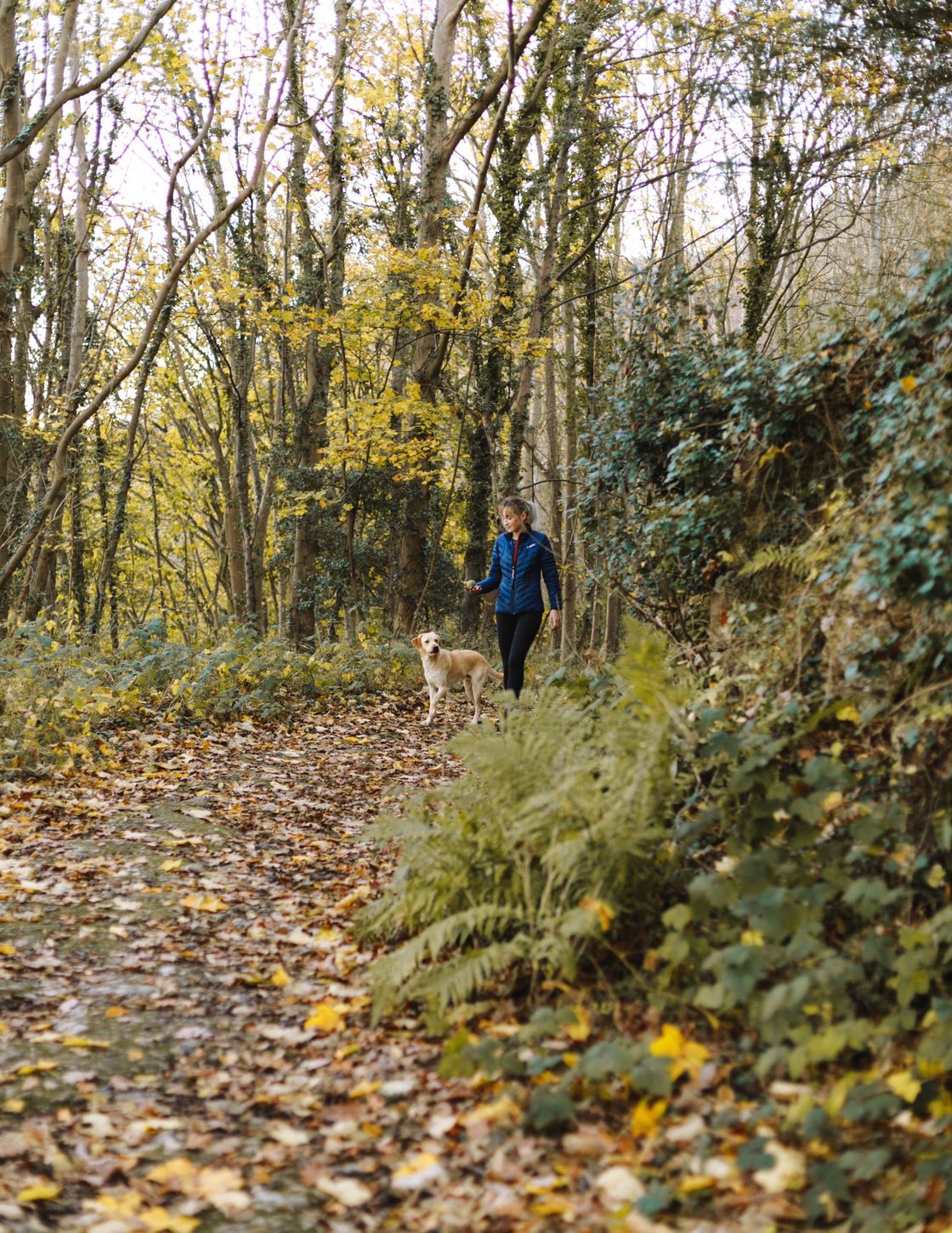 walking trail with woman and dog