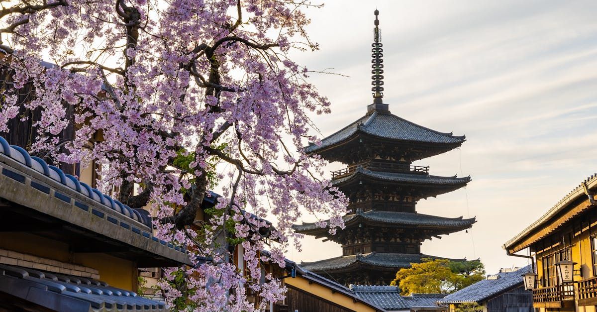 A five-story Japanese pagoda rises behind traditional tiled roofs, framed by blooming pink cherry blossoms at sunset.