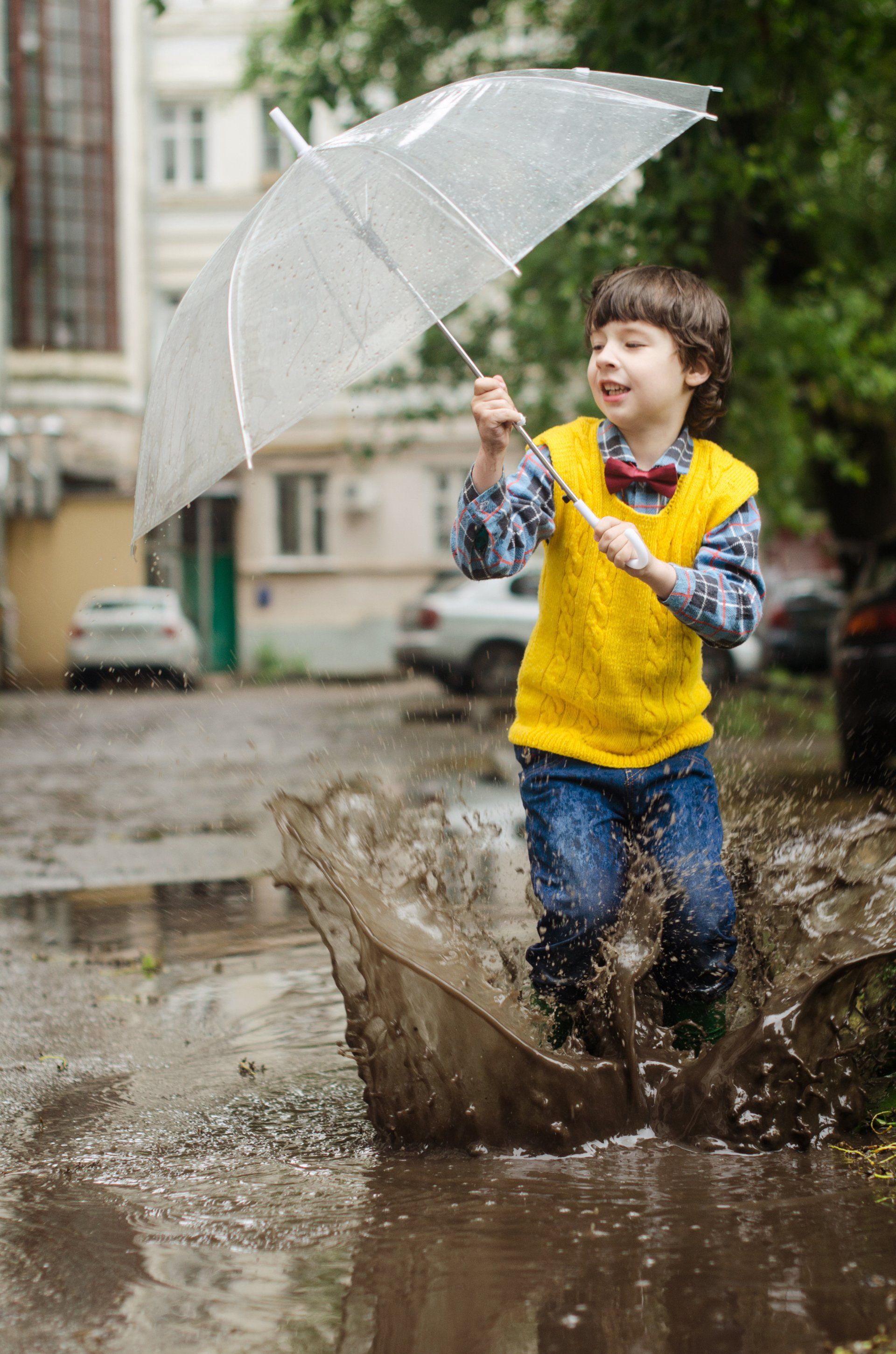 FEMA Flood Elevation Certificates