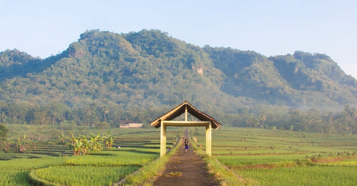 Scenic view of Yogyakarta set agains a ricefield