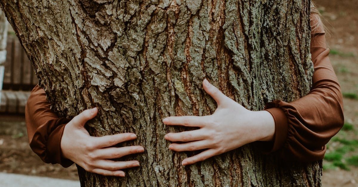 A woman is hugging a tree with her hands.