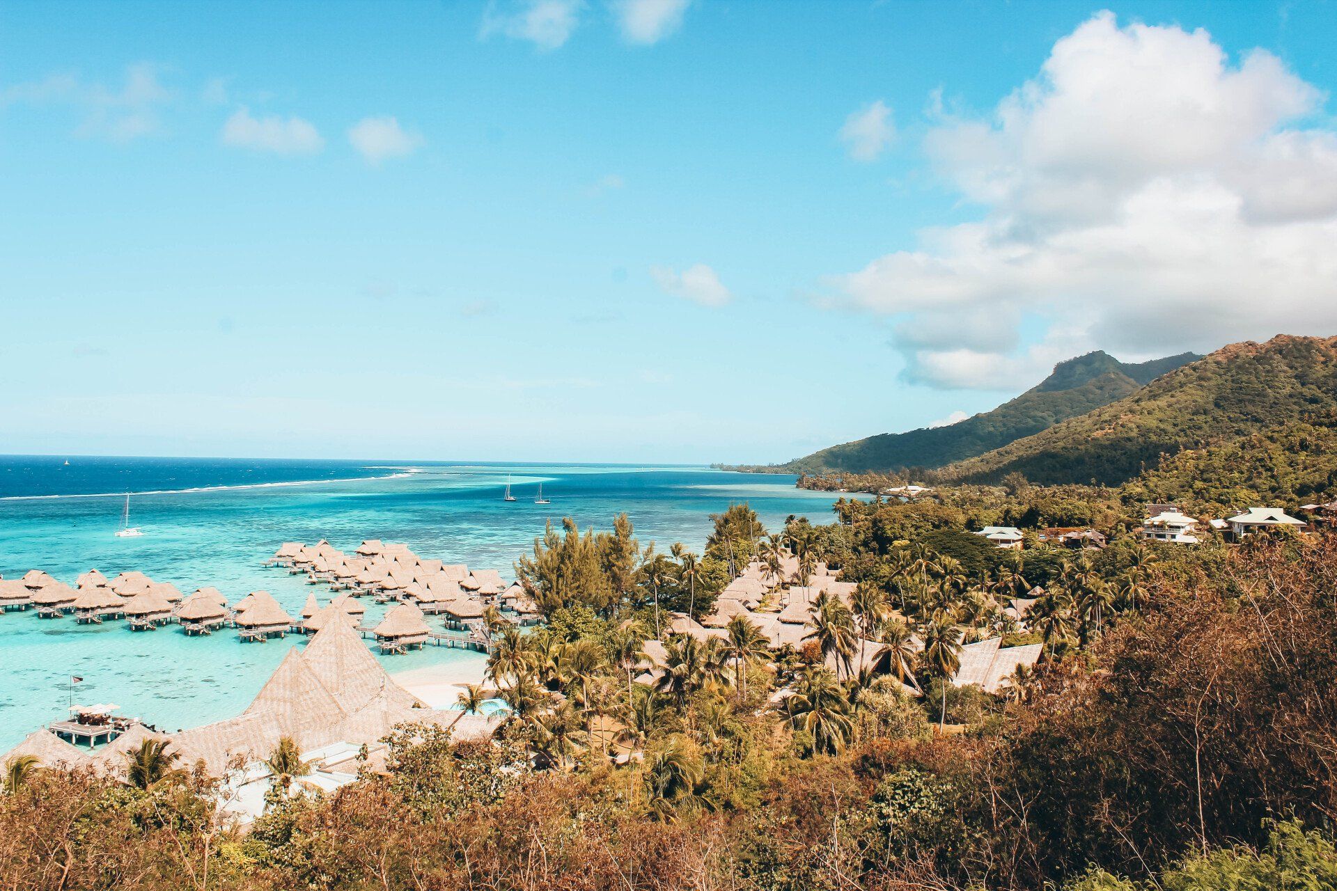 A view of a tropical island with a lot of palm trees and a body of water.