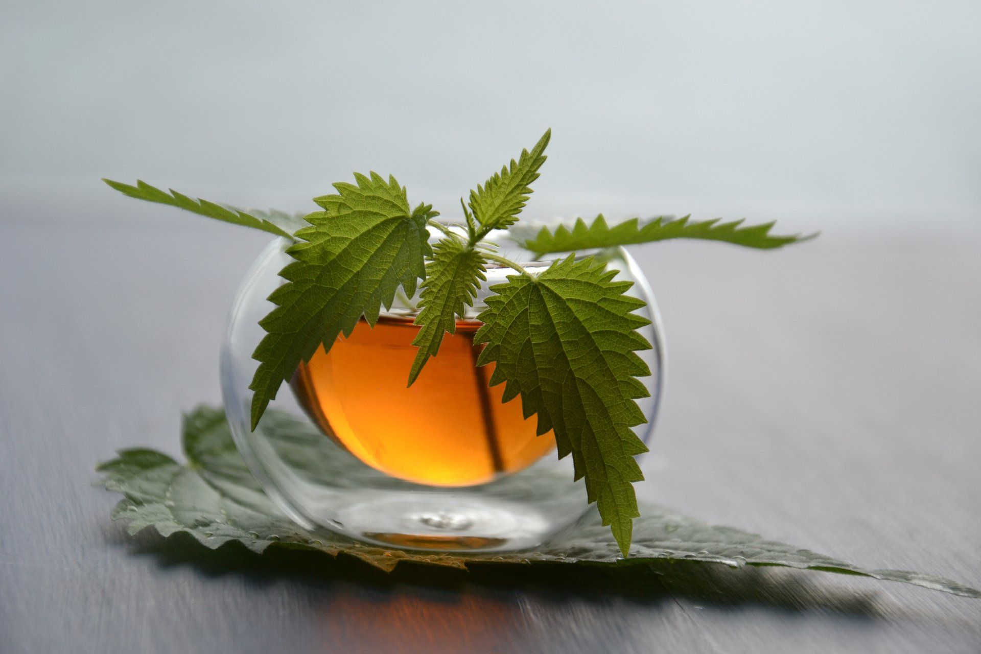 Un vaso de té con hojas de ortiga sobre una hoja sobre una mesa.