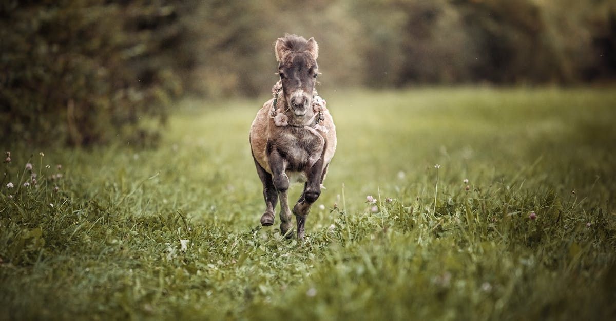 10 tips om over de te posten