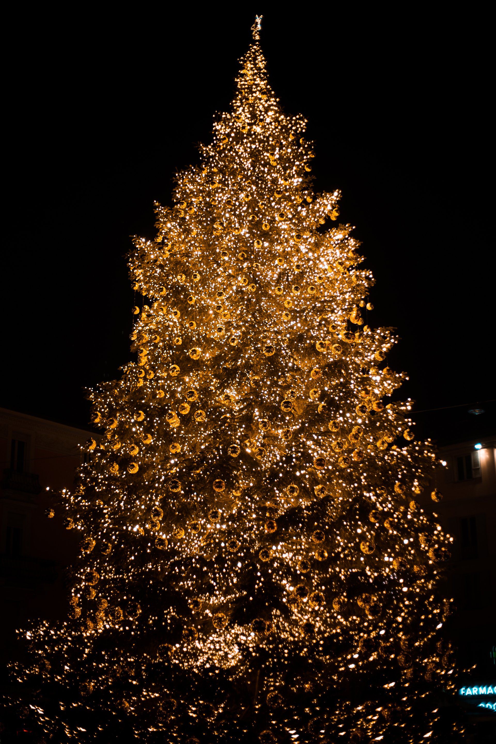 Upgrade Your Christmas Tree in Mid-Missouri This Season With Atkins’ Holiday Lighting Service!
