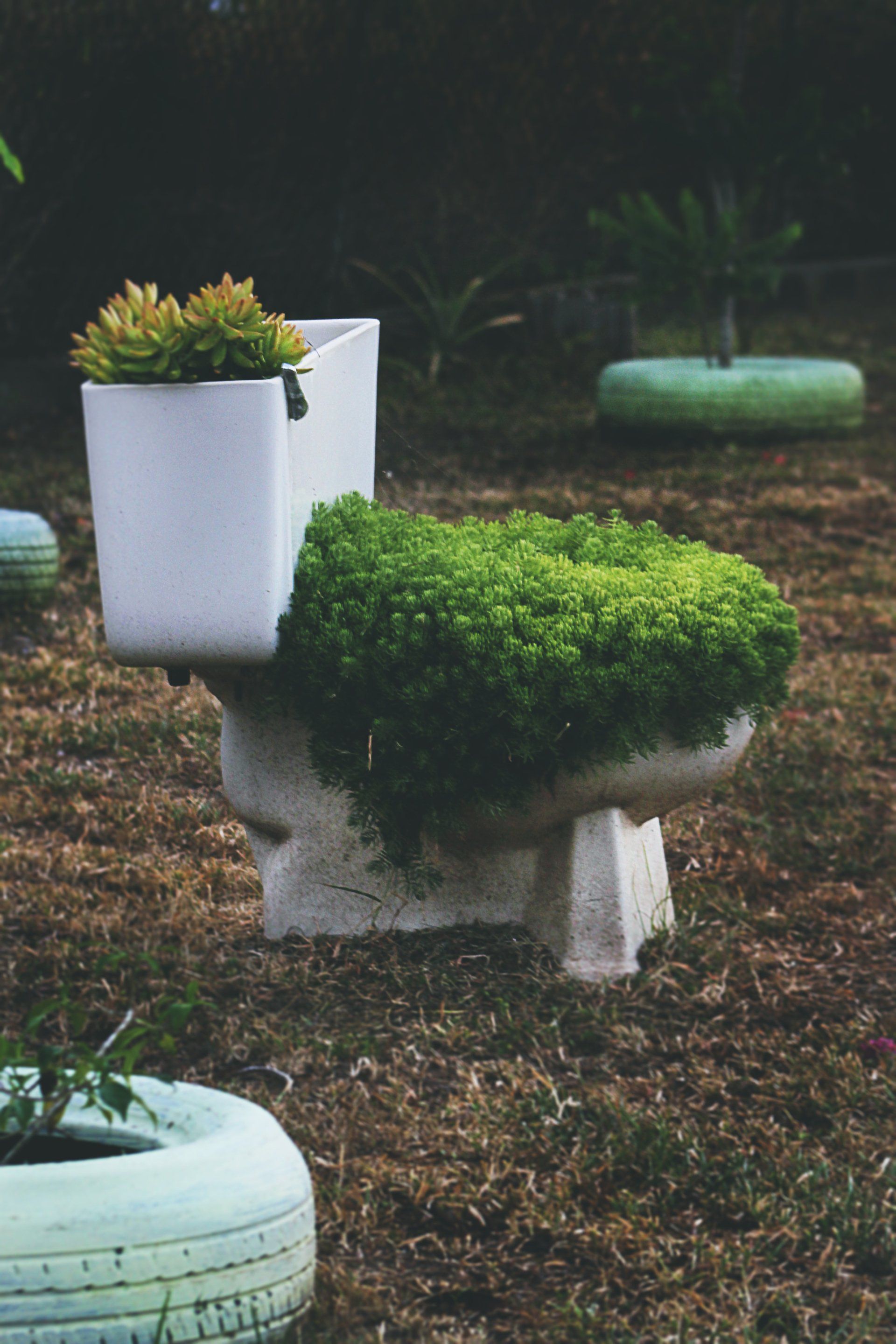 a toilet with weeds