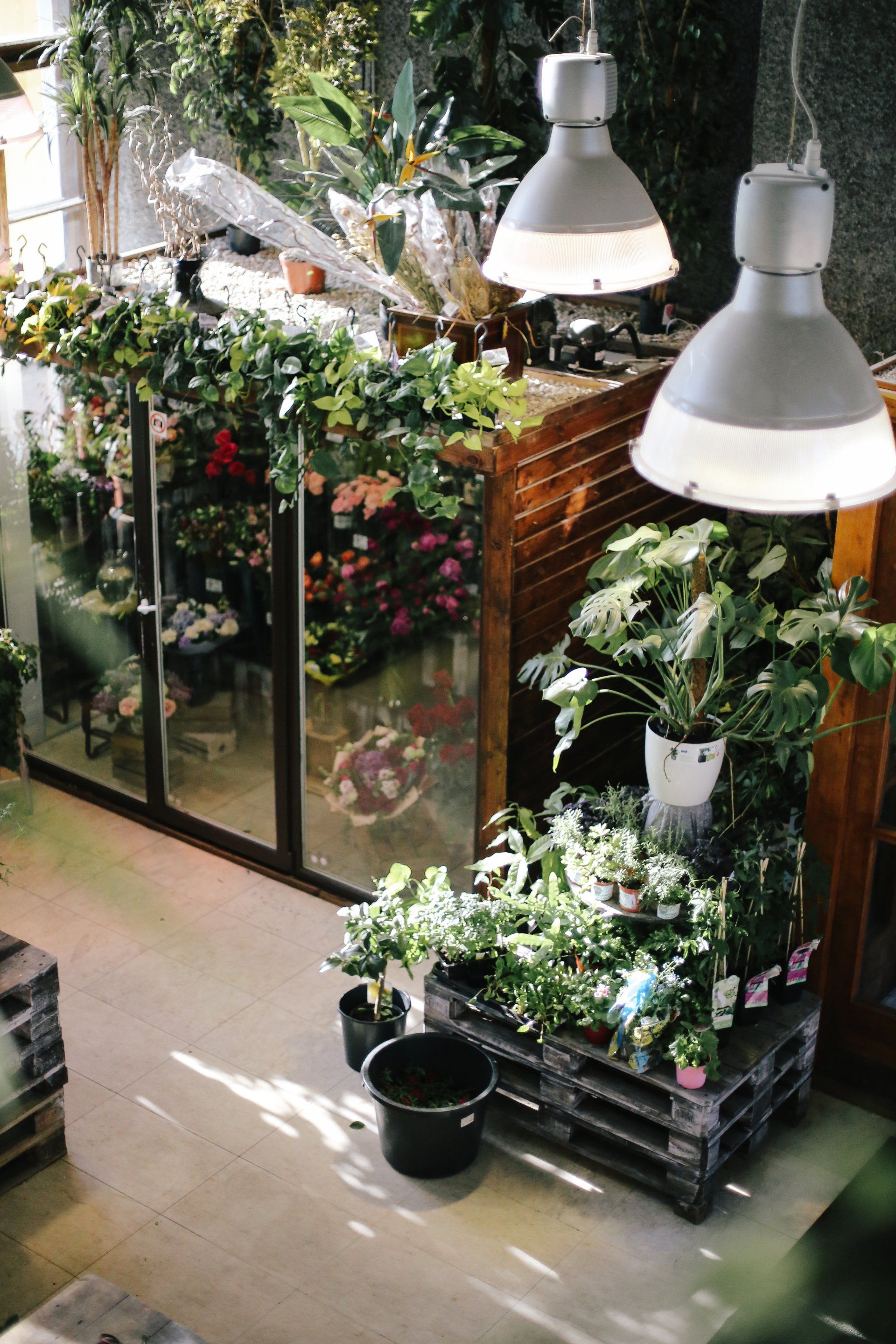 Indoor growing operation with LED lighting system from Growpher