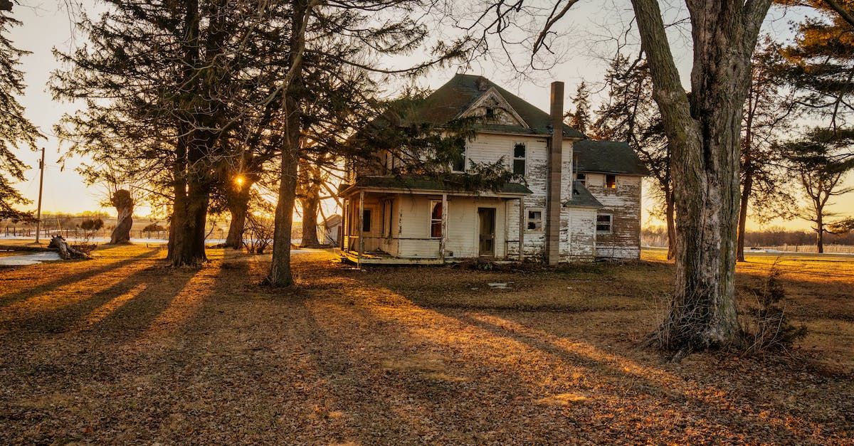 An old abandoned house is surrounded by trees and leaves at sunset.