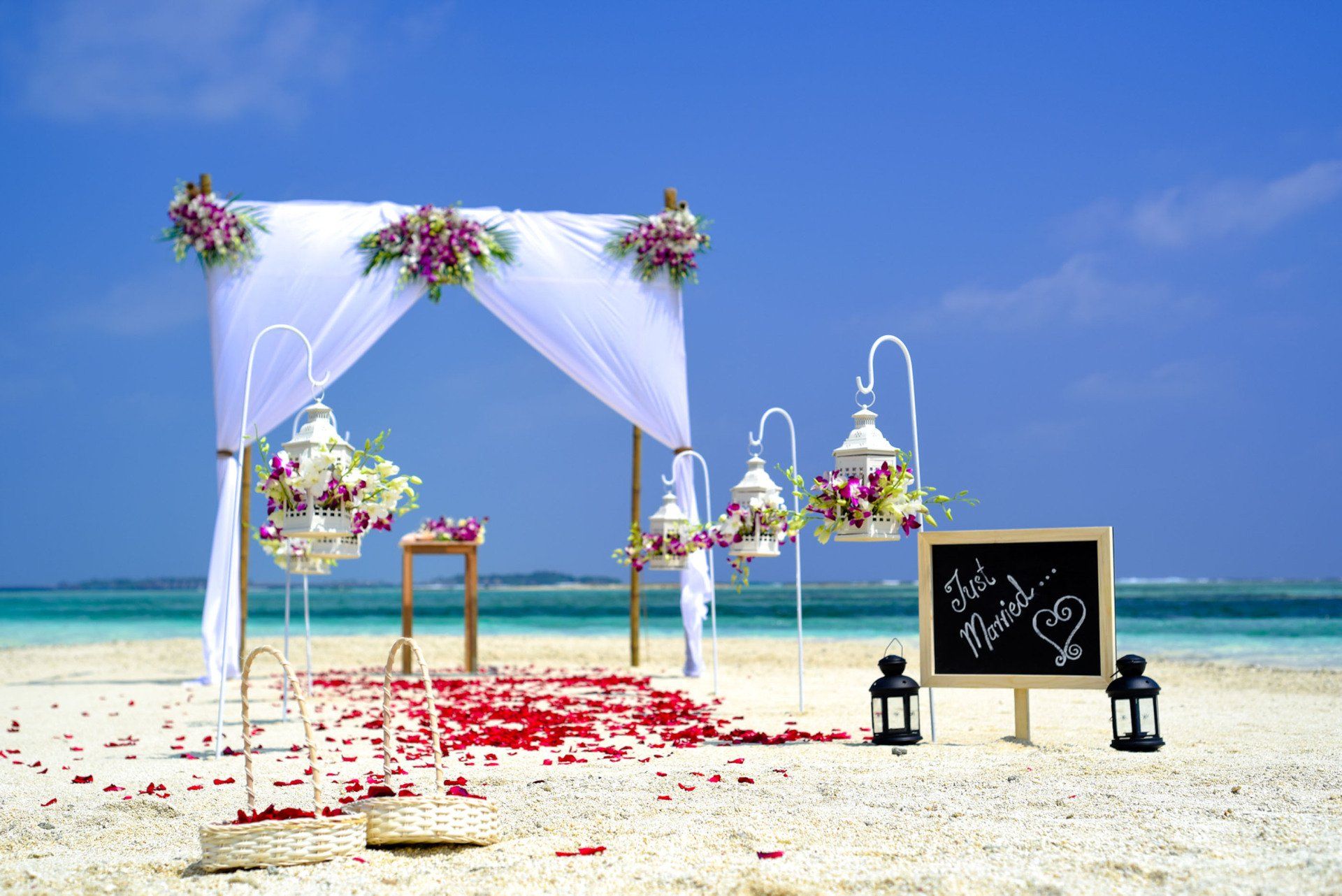 A love-fueled adventure: Planning Your Dream Vegan Destination Wedding