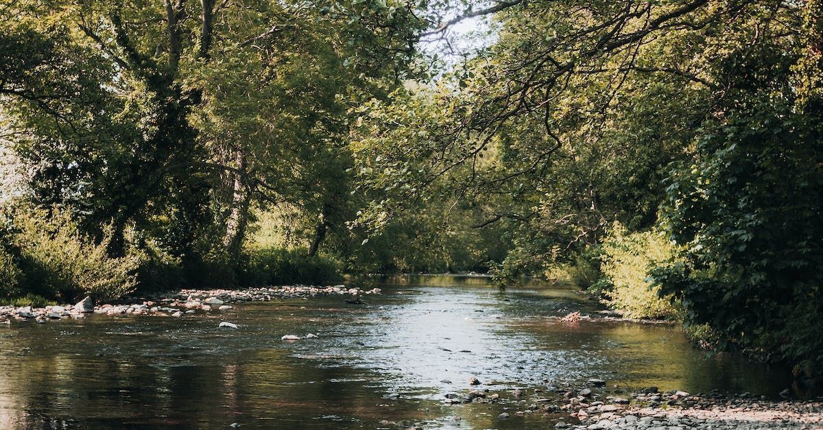 River, Kerrville
