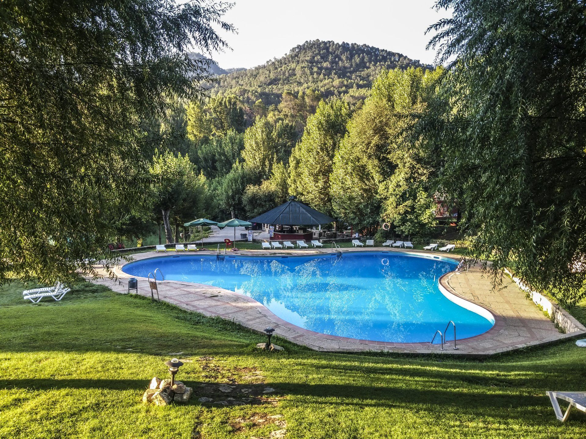 View of large upscale swimming pool