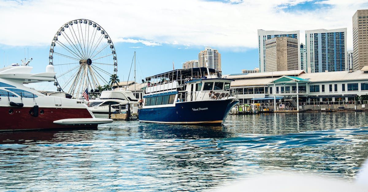 A ferris wheel is in the background of a harbor with boats and a city in the background.