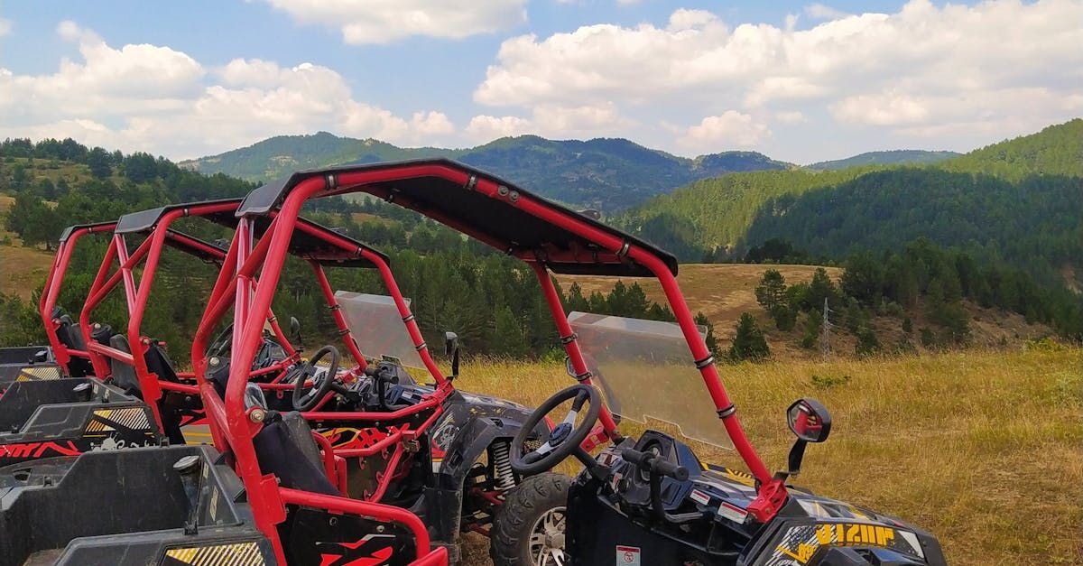A row of atvs are parked in a field with mountains in the background.