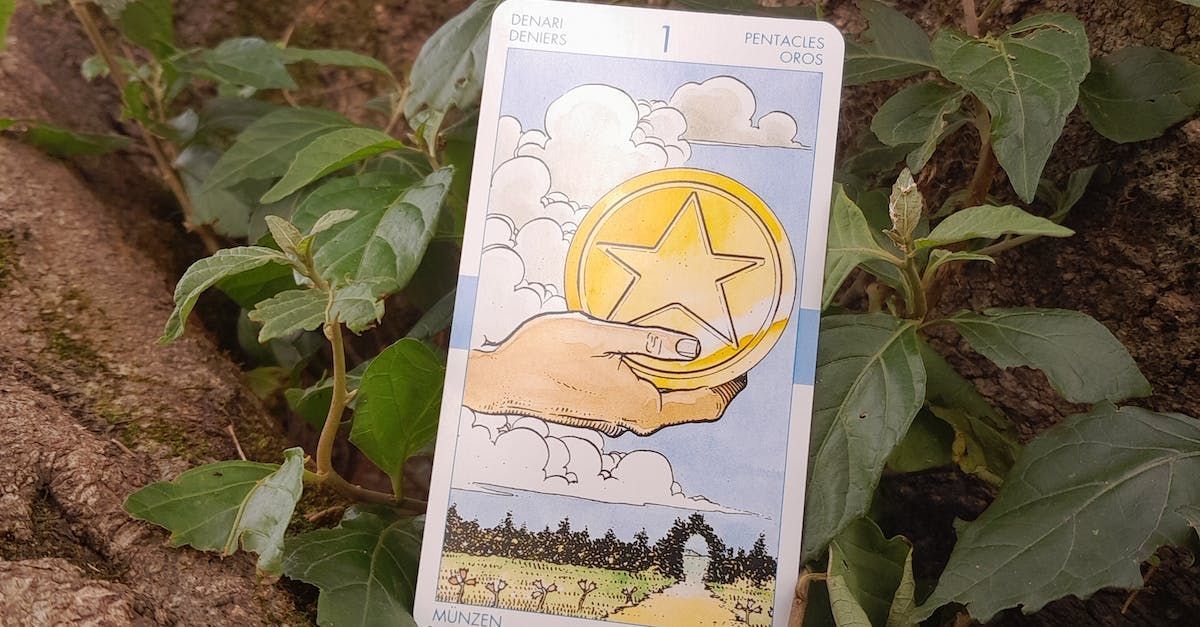 Uma carta de tarô com uma estrela está em cima de uma planta.