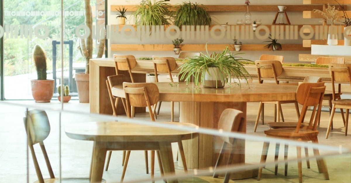Un restaurant avec des tables et des chaises et une plante sur la table.