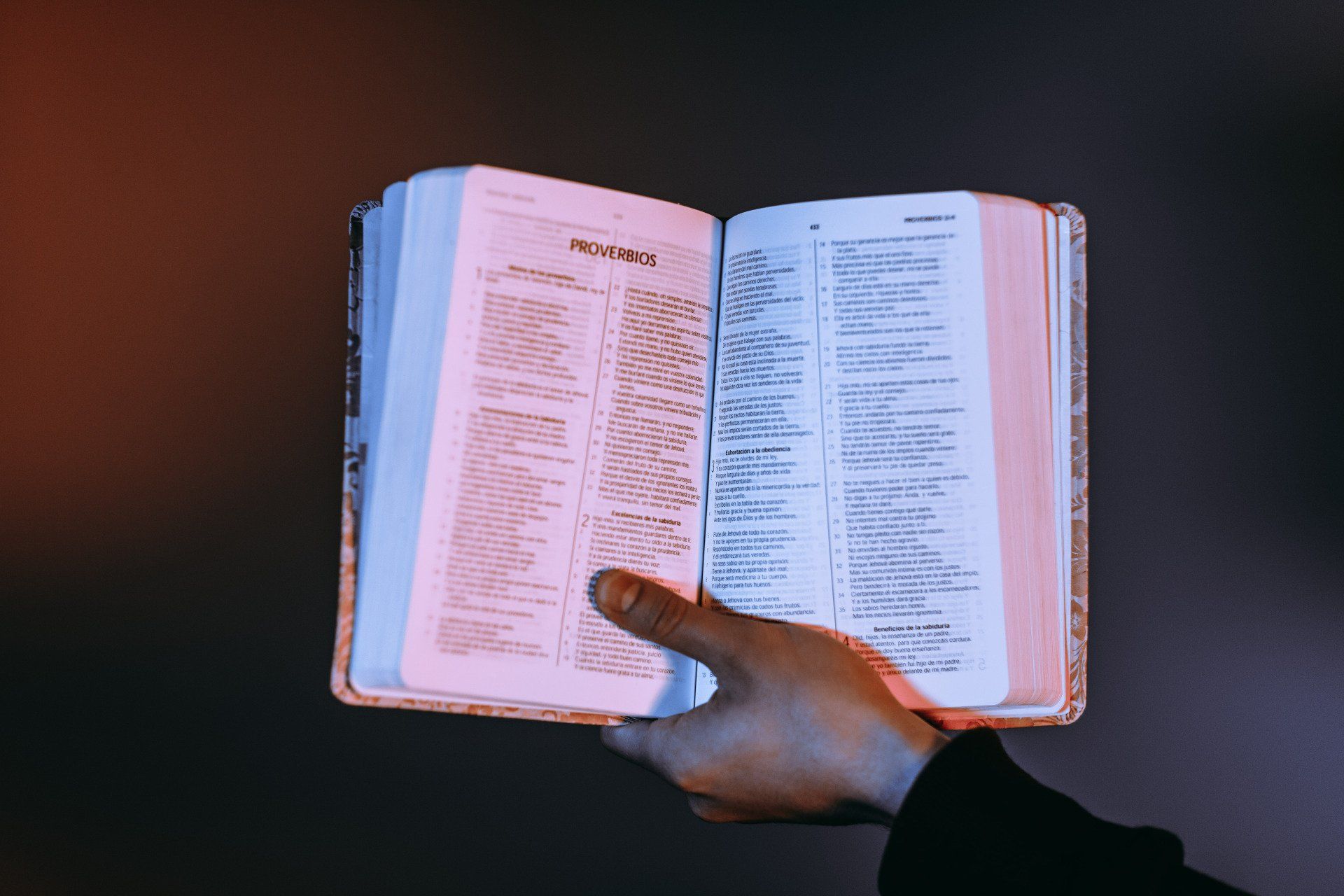 A person is holding an open bible in their hand.