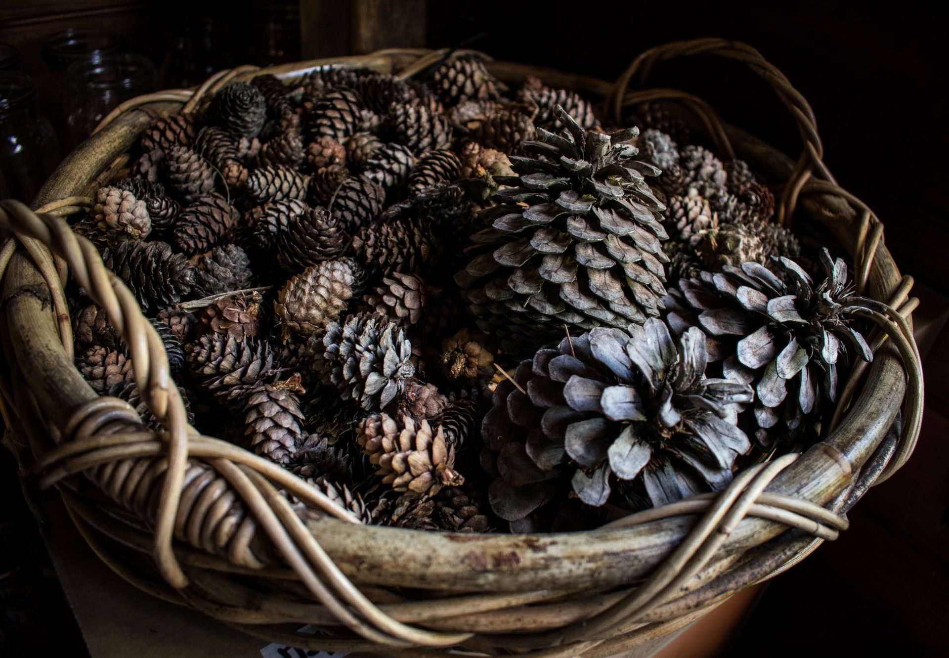 Natural Pursuits by Sue Cartwright, Spiral Leaf