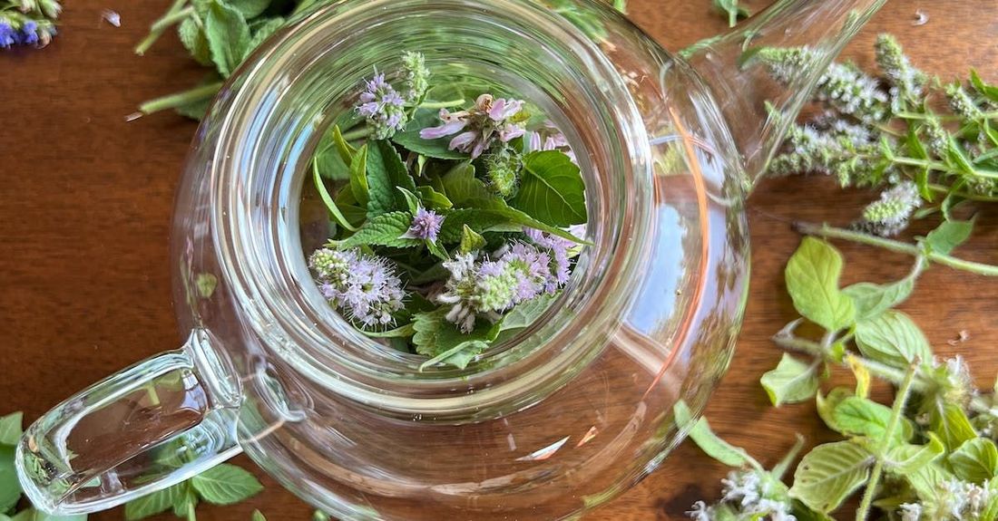 Piante officinali