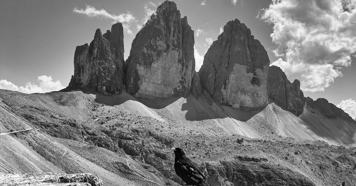 A black and white photo of a mountain range with a bird in the foreground.
