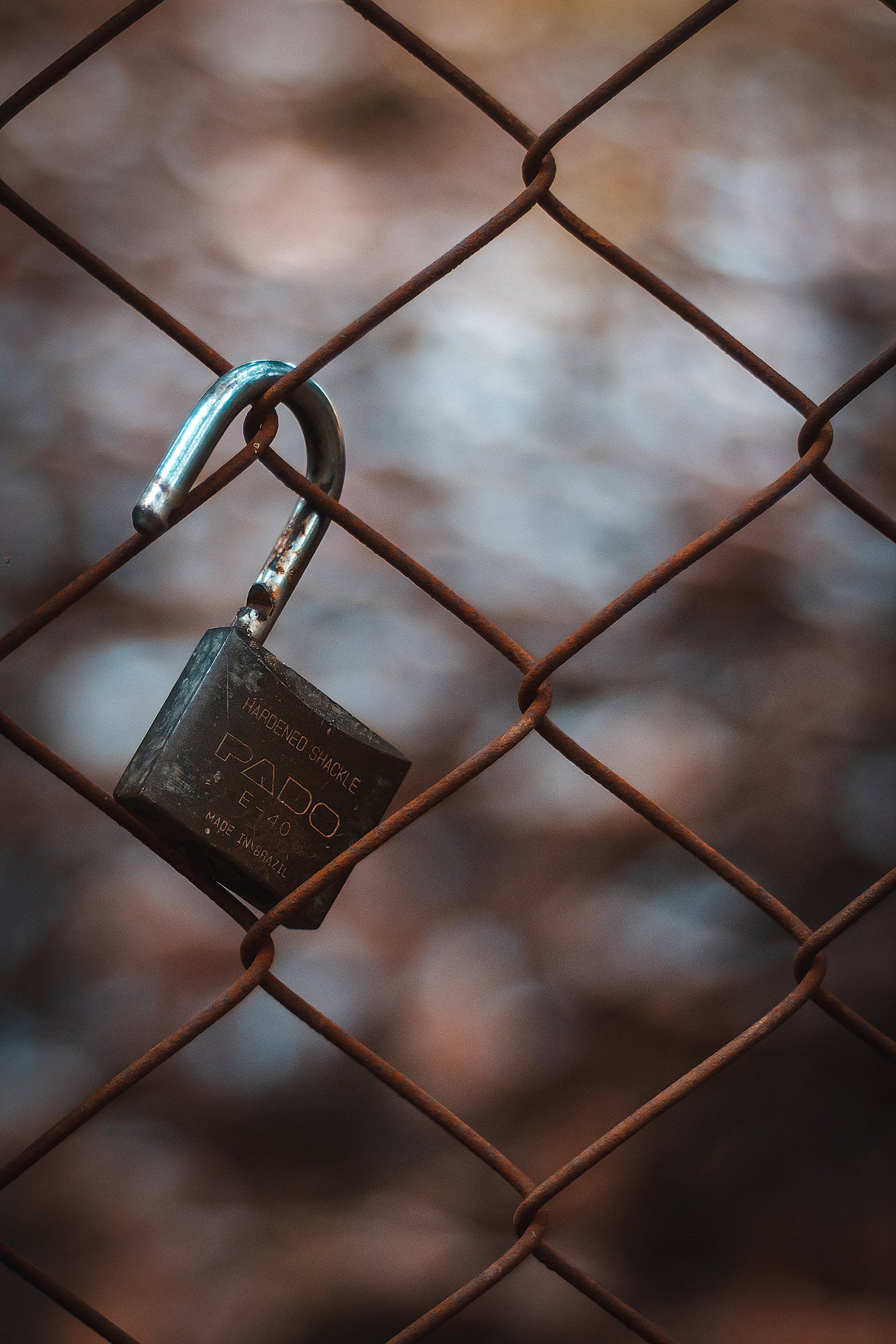 Unlocking Growth: 5 Compelling Reasons to Utilise Fractional Marketing Directors