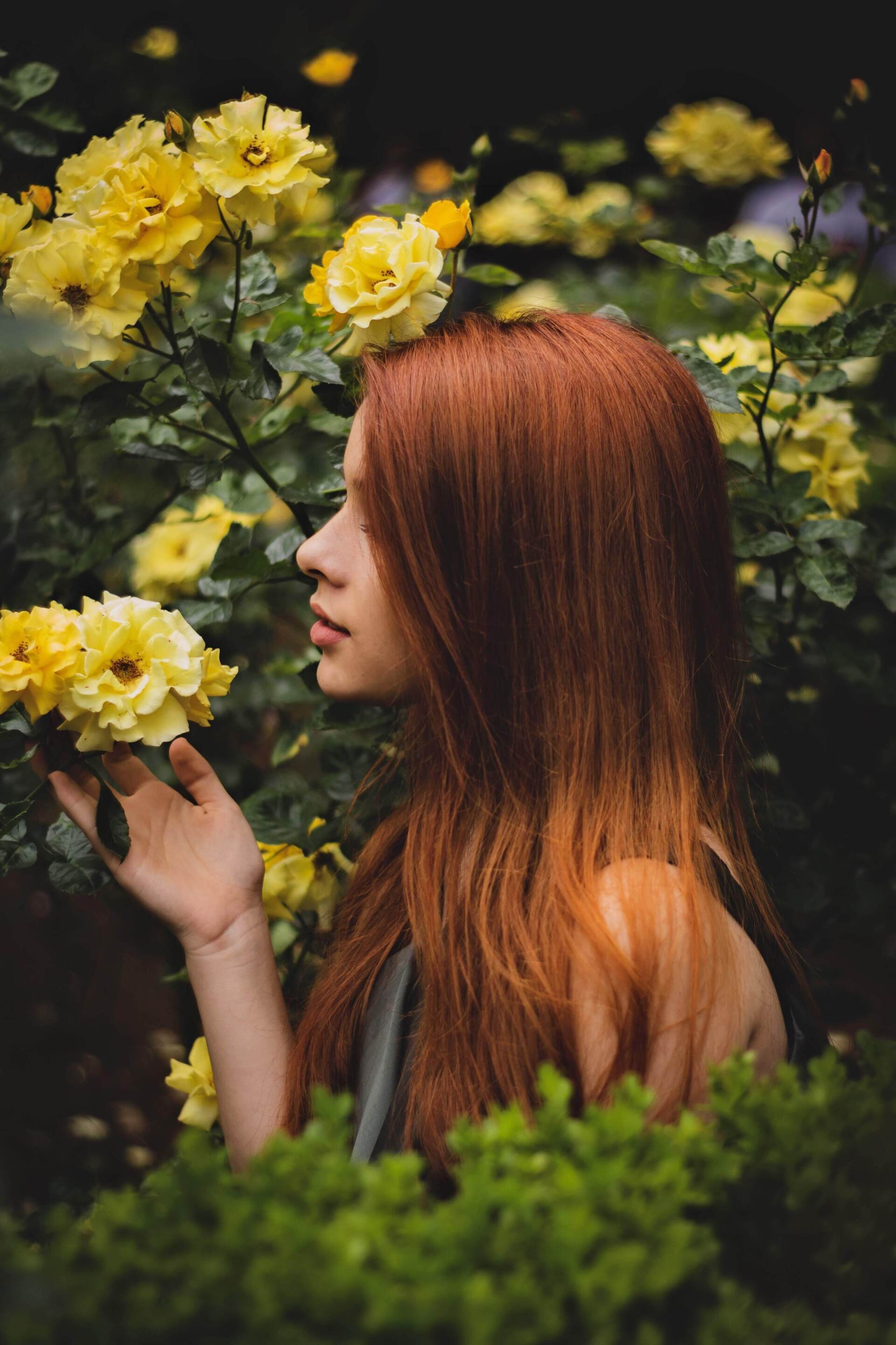 Elegant Straight Auburn Hair — Hair It Is In Balgownie, NSW