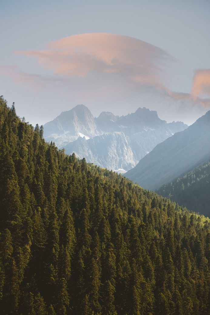 There are mountains in the background and a forest in the foreground.