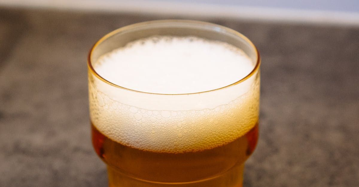 Bier 