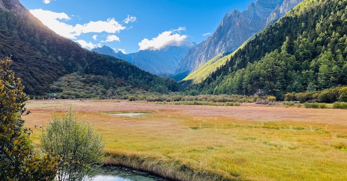 Valley landscape with mountains, green trees, and golden meadow under a blue sky.