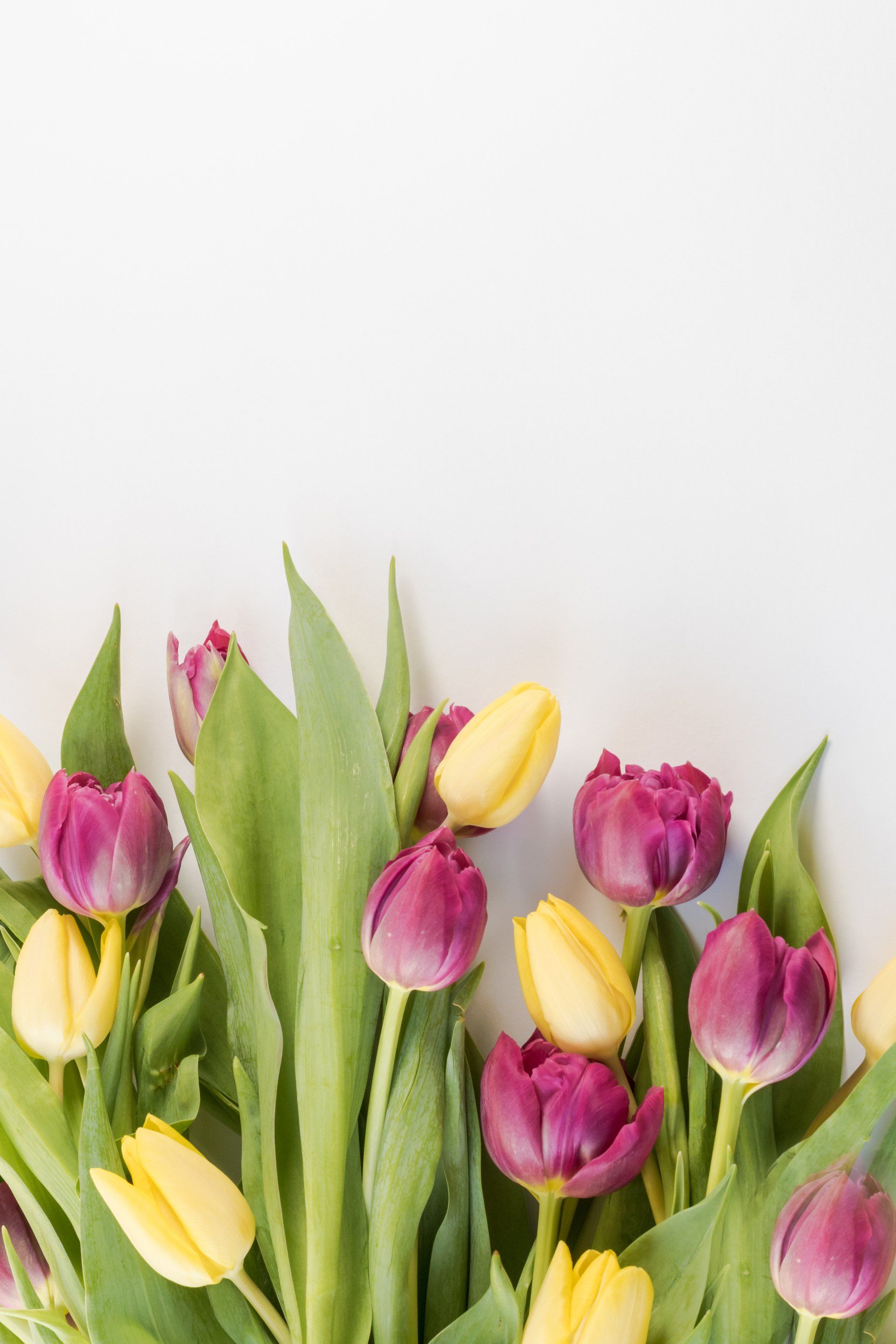 Send Flowers