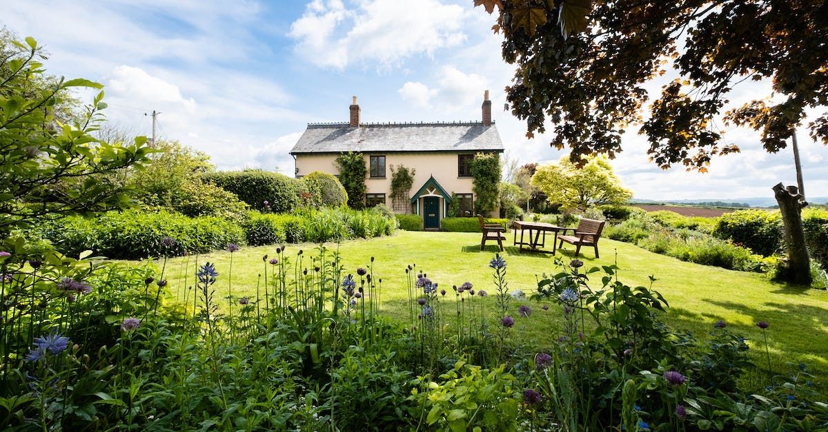 picturesque garden mown lawn
