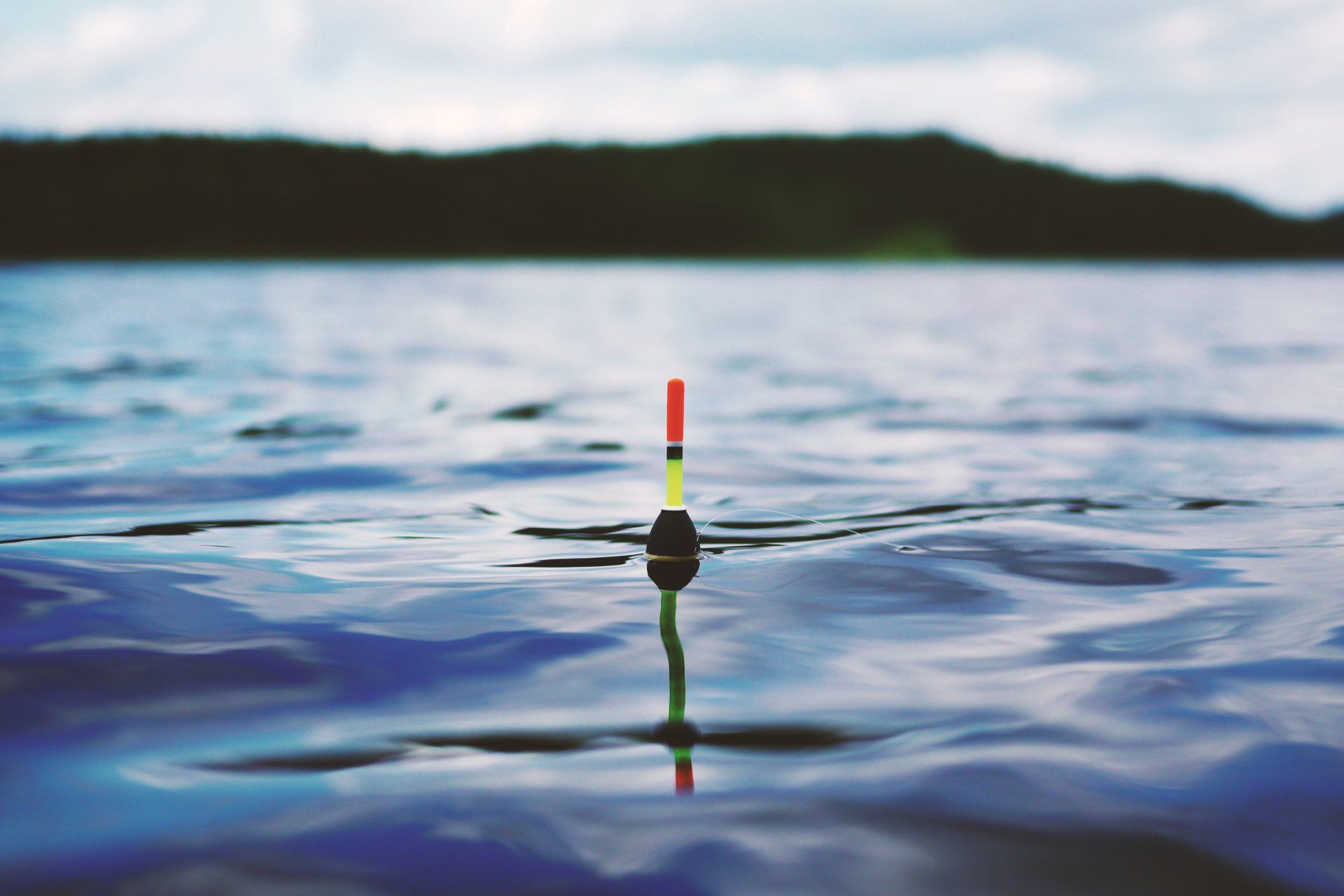 Fishing hook floating in water