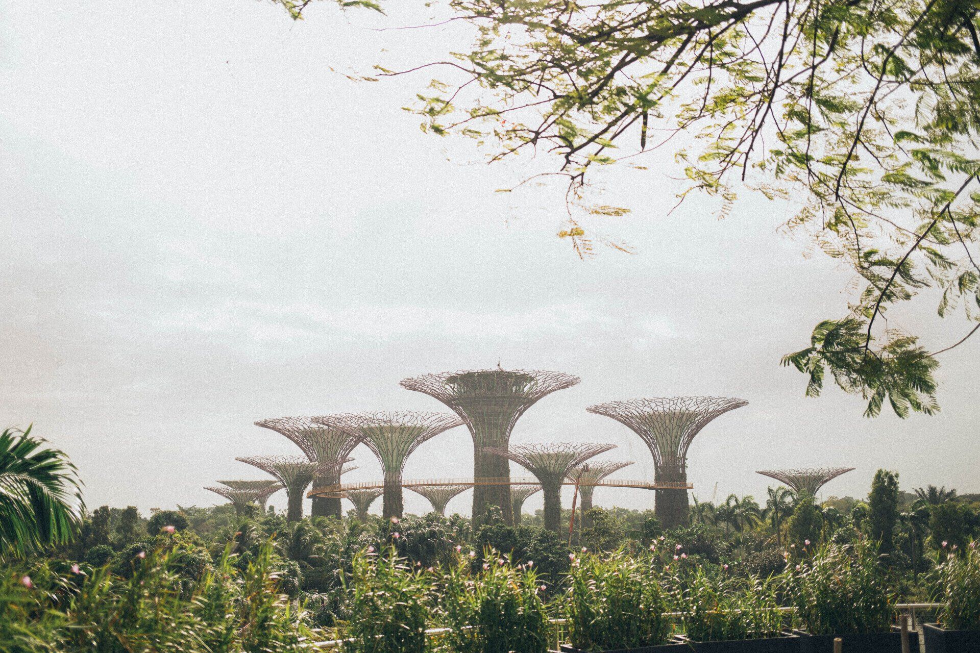 Singapore's Gardens By The Bay