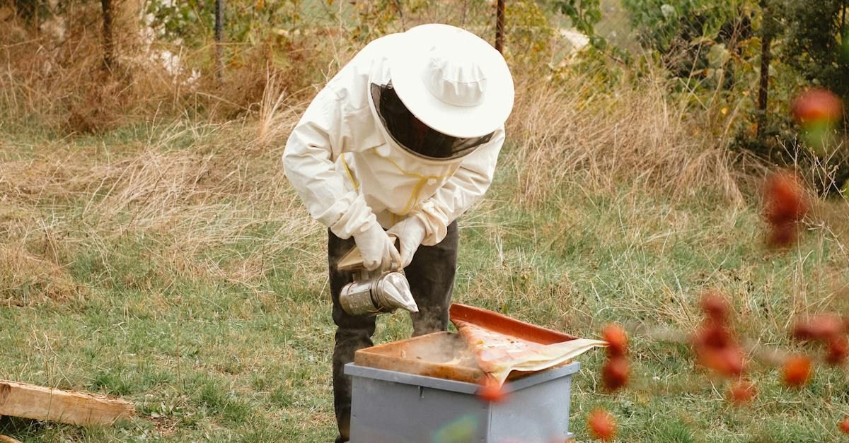 Beekeepers looking at a beehive