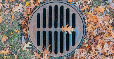 A manhole cover surrounded by leaves on the ground.
