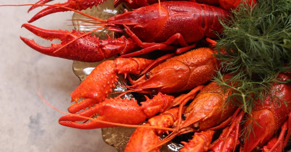 A bowl of cooked, bright red crayfish garnished with a sprig of fresh green dill.