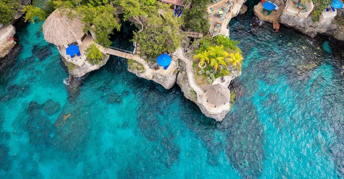 A tropical beach with palm trees and turquoise water on a sunny day.
