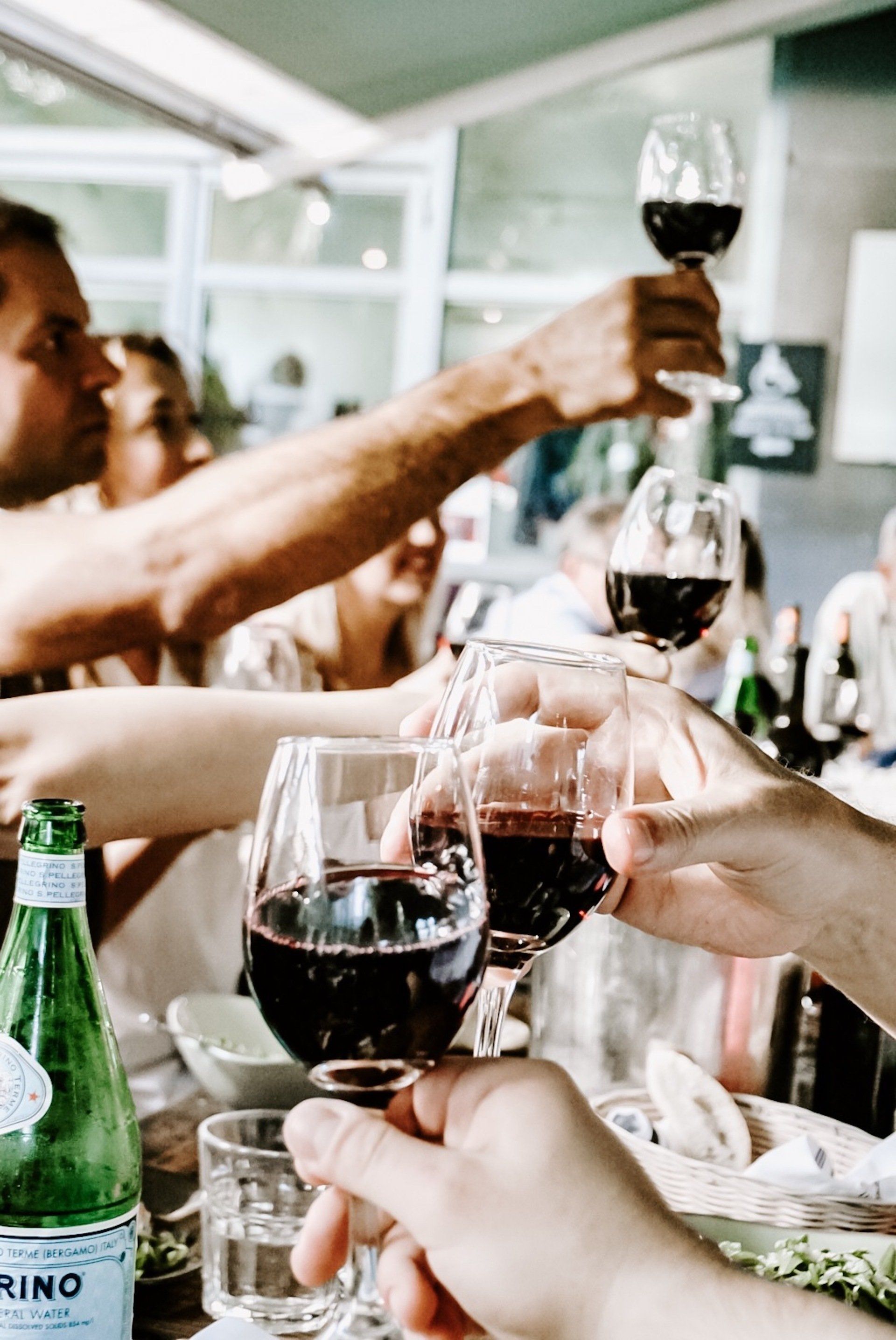 people cheers their wine