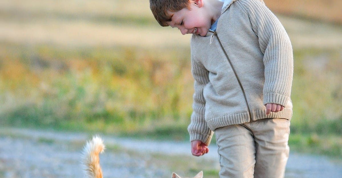 A young boy is standing next to a cat on a dirt road.