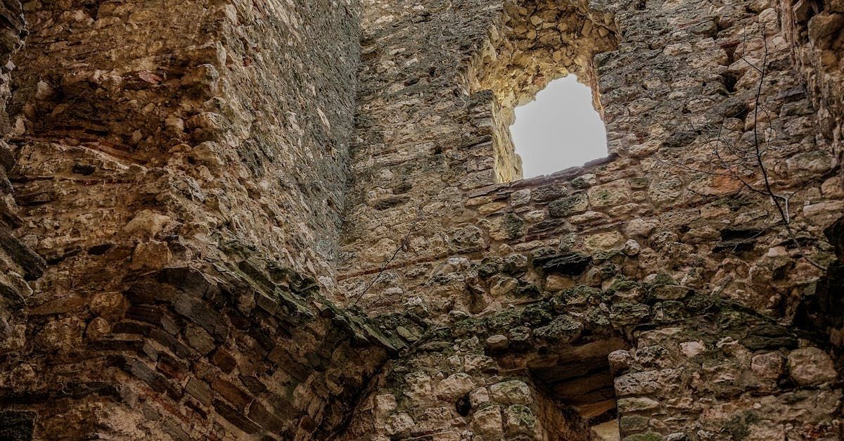 Burg Alt Ems