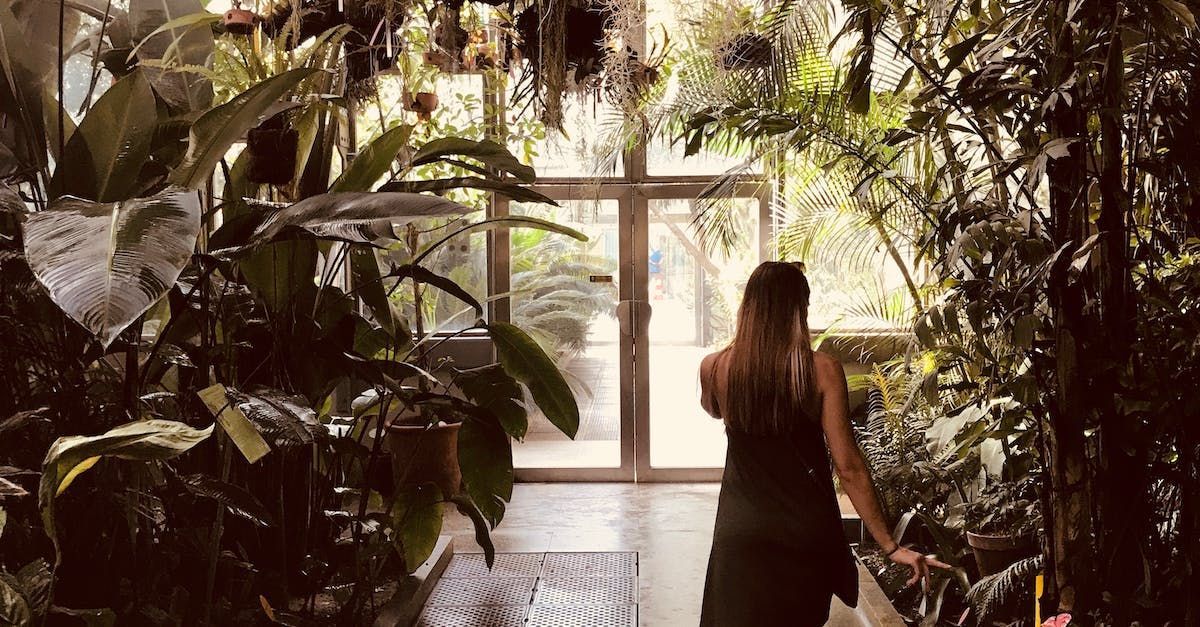 botanical-garden
