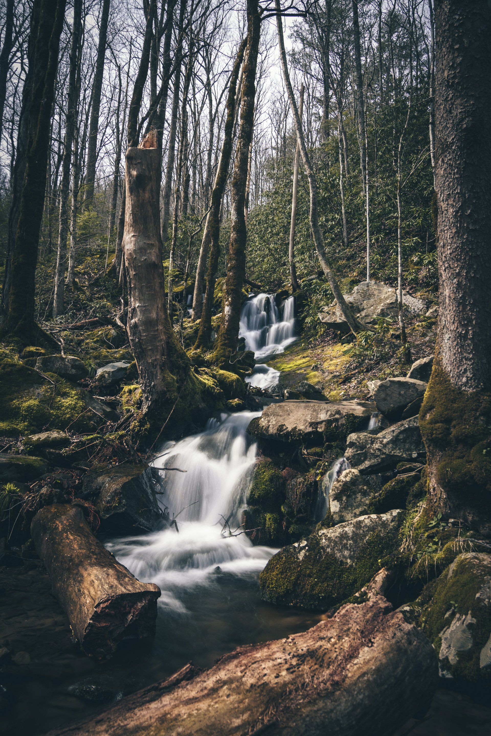 Tennessee wilderness