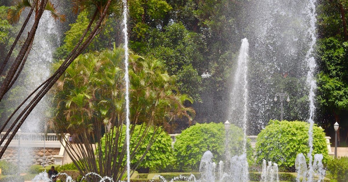A fountain is spraying water in a park surrounded by trees.