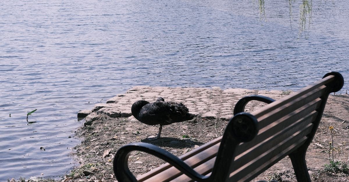 Picture of a partial bench near a waterfront