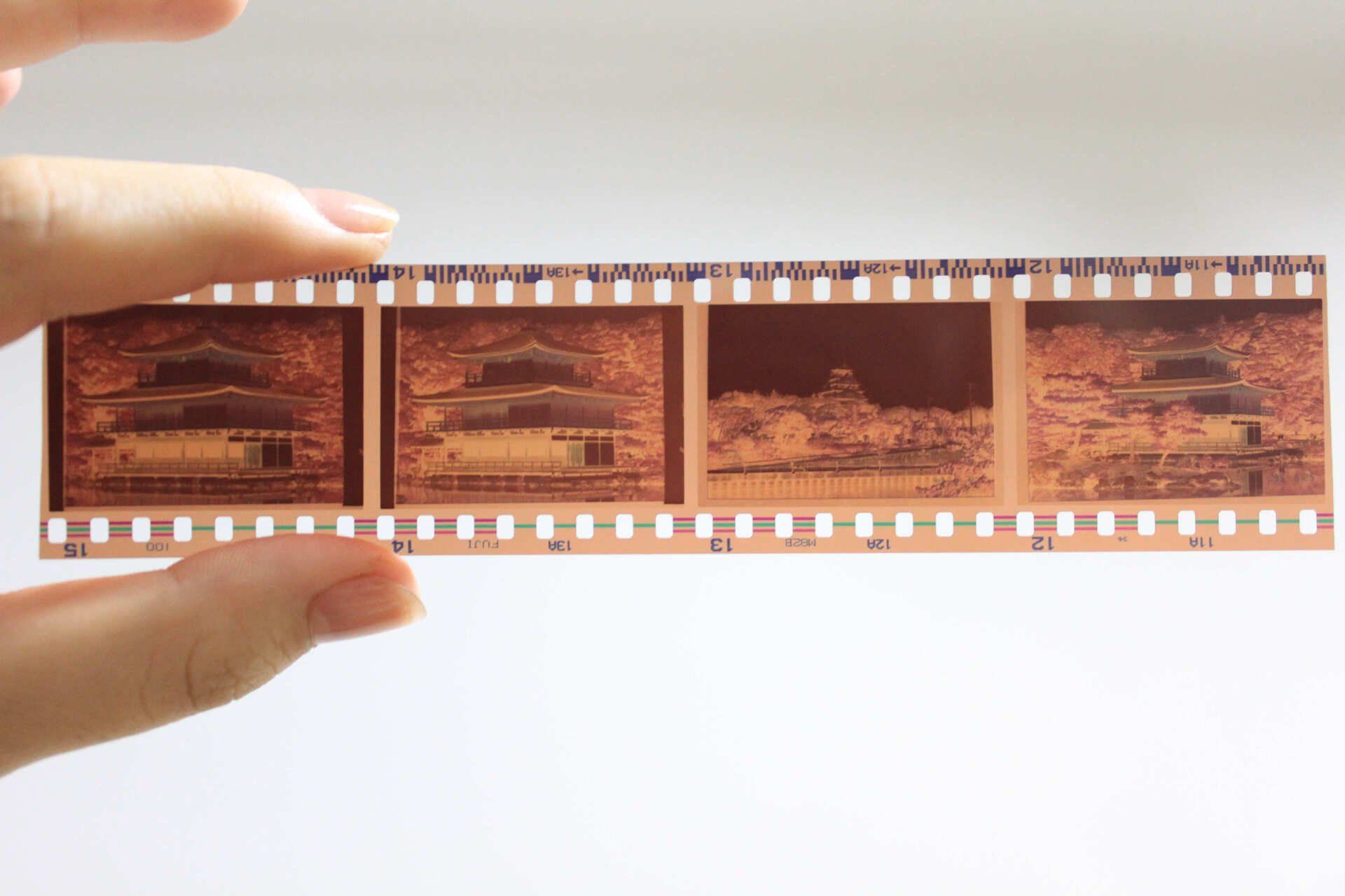 a person is holding a roll of film in their hands .