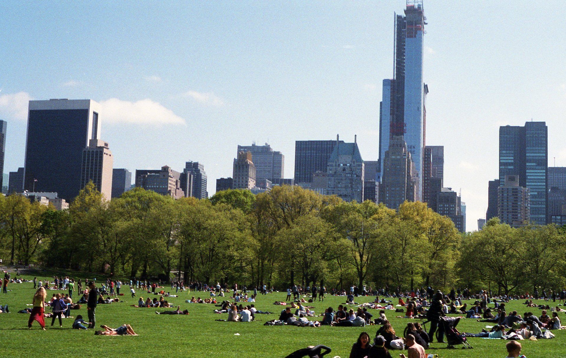 A park with a city skyline in the background