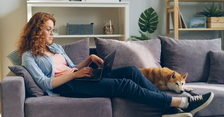 A woman is sitting on a couch with a laptop and a dog.