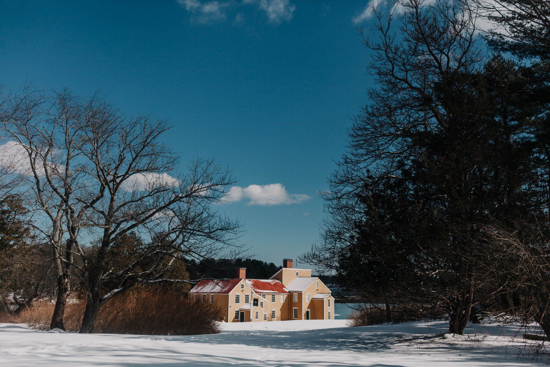 A house is sitting in the middle of a snowy field surrounded by trees.